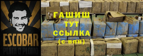 прущий лед Алзамай