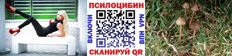 Псилоцибиновые грибы Magic Shrooms Малаховка